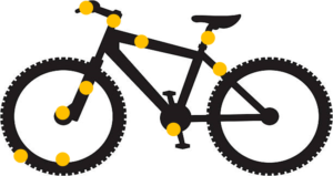 Puces sur vélo